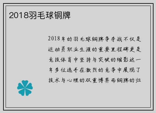 2018羽毛球铜牌